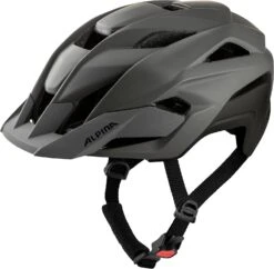Alpina Stan Mips Fahrradhelm - Coffee Grey Mat